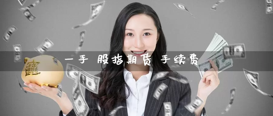 一手 股指期货 手续费_https://www.51pinbao.com_纳指直播室_第1张