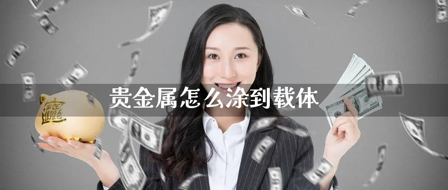 贵金属怎么涂到载体_https://www.51pinbao.com_纳指直播室_第1张