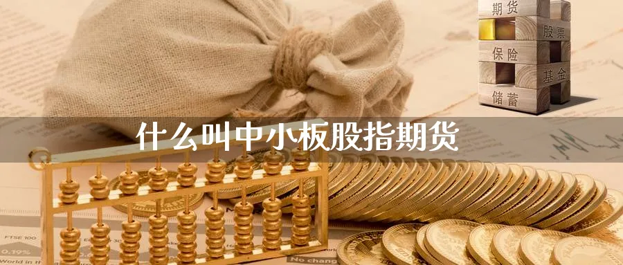 什么叫中小板股指期货_https://www.51pinbao.com_恒指直播室_第1张
