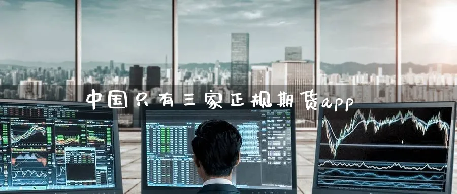 中国只有三家正规期货app_https://www.51pinbao.com_恒指直播室_第1张