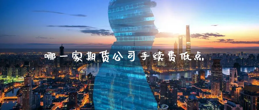 哪一家期货公司手续费低点_https://www.51pinbao.com_恒指直播室_第1张