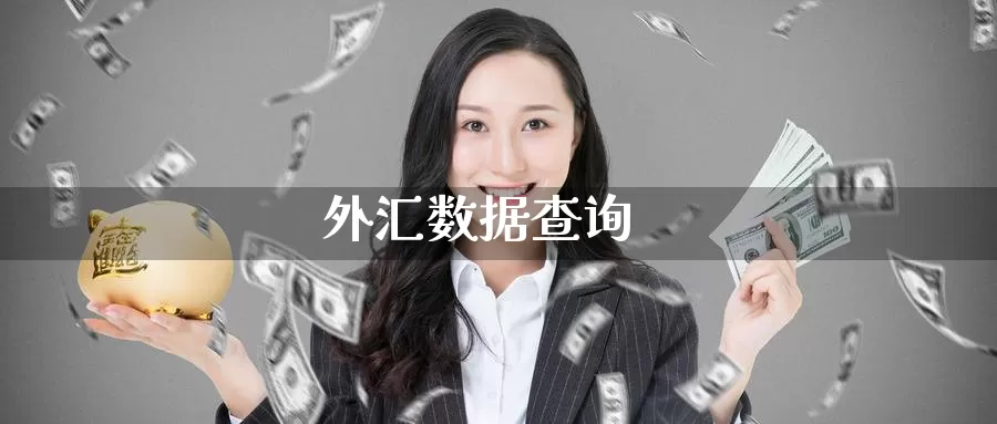 外汇数据查询_德指直播室_第1张_51期货直播网 外汇数据查询_https://www.51pinbao.com_德指直播室_第1张