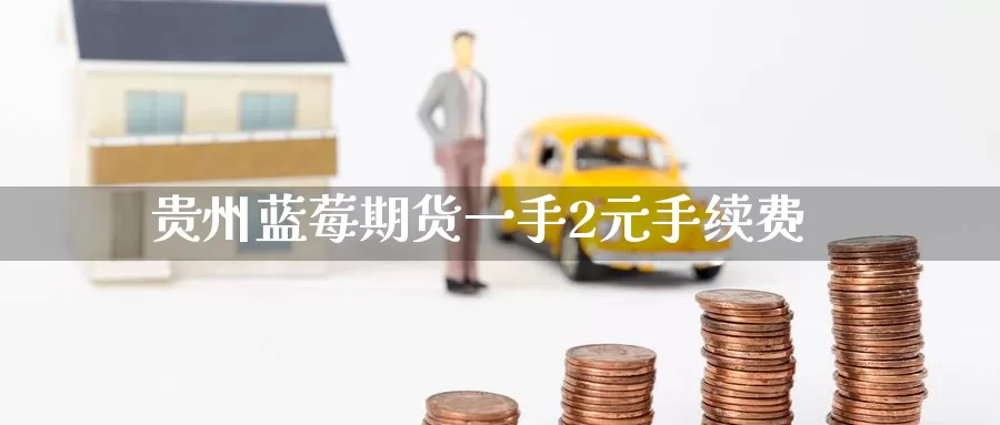 贵州蓝莓期货一手2元手续费_https://www.51pinbao.com_德指直播室_第1张