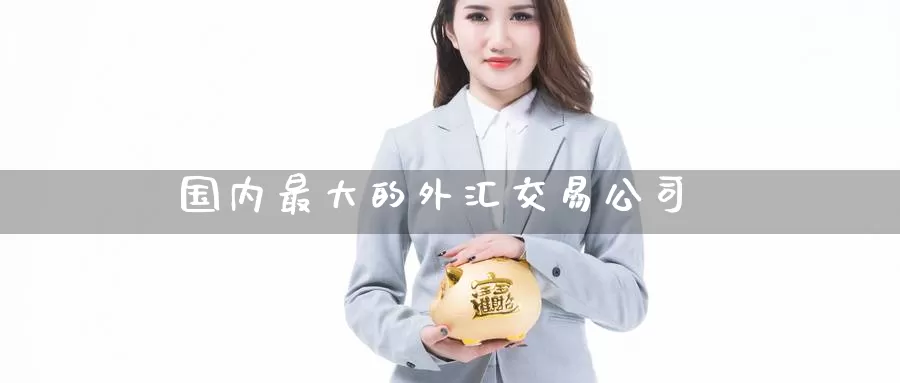 国内最大的外汇交易公司_https://www.51pinbao.com_恒指直播室_第1张