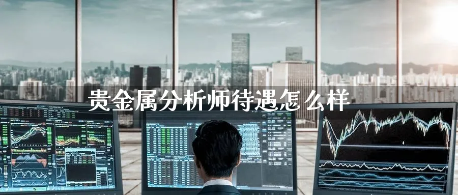 贵金属分析师待遇怎么样_https://www.51pinbao.com_恒指直播室_第1张
