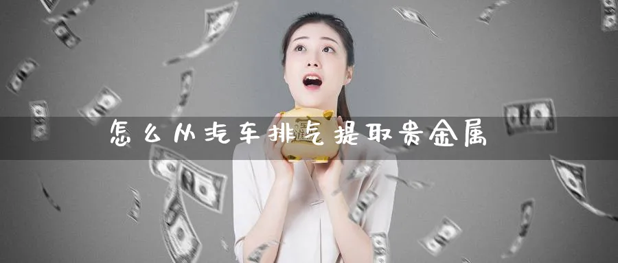 怎么从汽车排气提取贵金属_https://www.51pinbao.com_纳指直播室_第1张