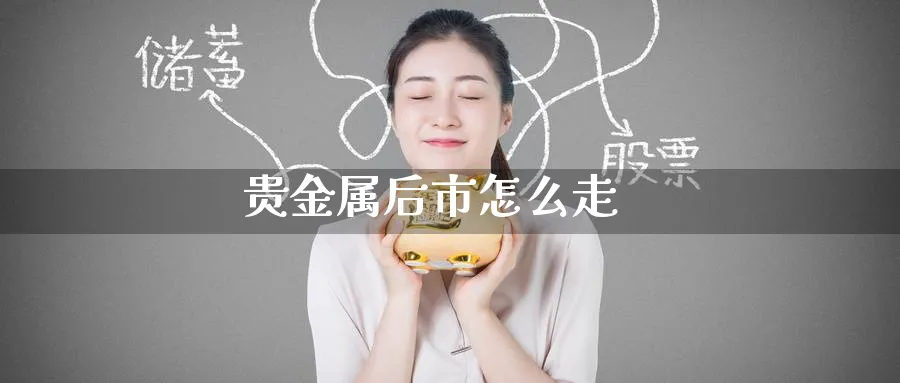 贵金属后市怎么走_https://www.51pinbao.com_纳指直播室_第1张
