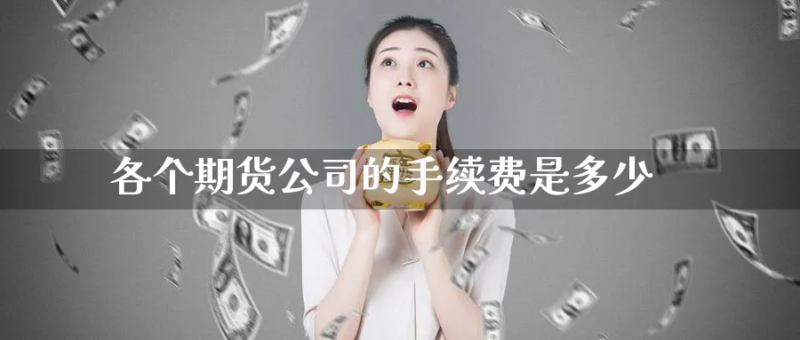 各个期货公司的手续费是多少_https://www.51pinbao.com_期货直播室_第1张