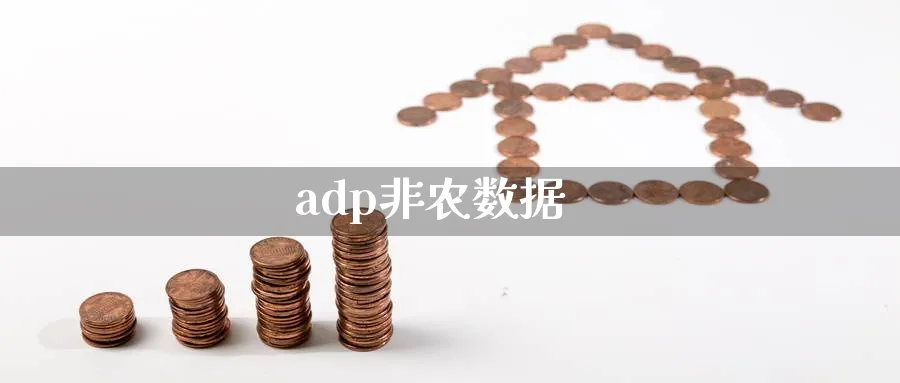 adp非农数据_https://www.51pinbao.com_恒指直播室_第1张