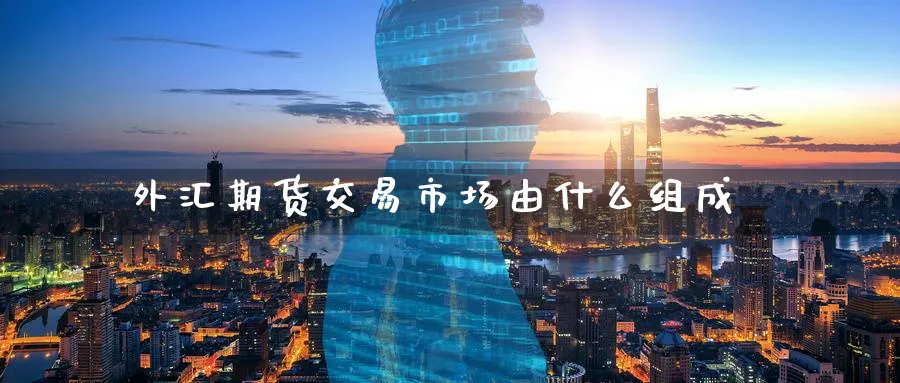 外汇期货交易市场由什么组成_https://www.51pinbao.com_纳指直播室_第1张