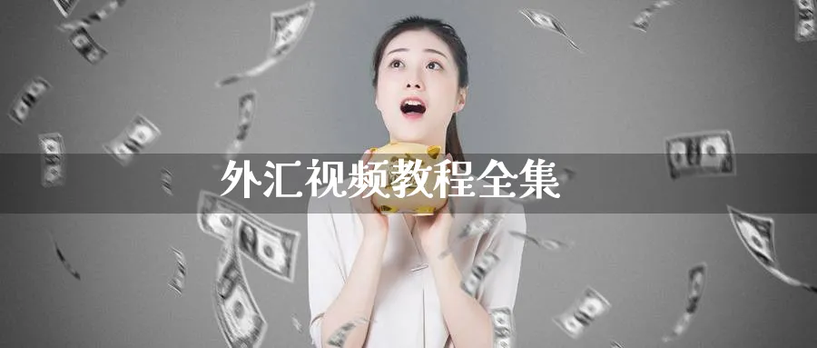 外汇视频教程全集_https://www.51pinbao.com_黄金直播室_第1张