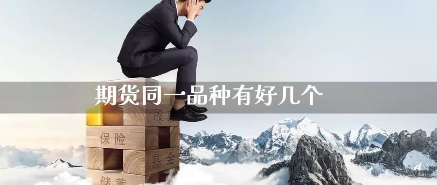 期货同一品种有好几个_https://www.51pinbao.com_德指直播室_第1张