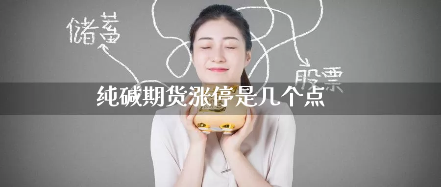 纯碱期货涨停是几个点_期货直播室_第1张_51期货直播网 纯碱期货涨停是几个点_https://www.51pinbao.com_期货直播室_第1张