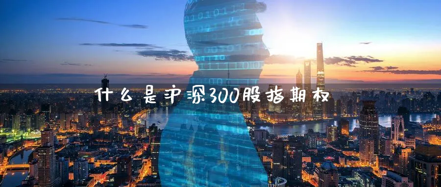 什么是沪深300股指期权_https://www.51pinbao.com_纳指直播室_第1张