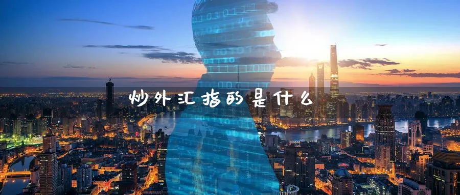 炒外汇指的是什么_https://www.51pinbao.com_原油直播室_第1张