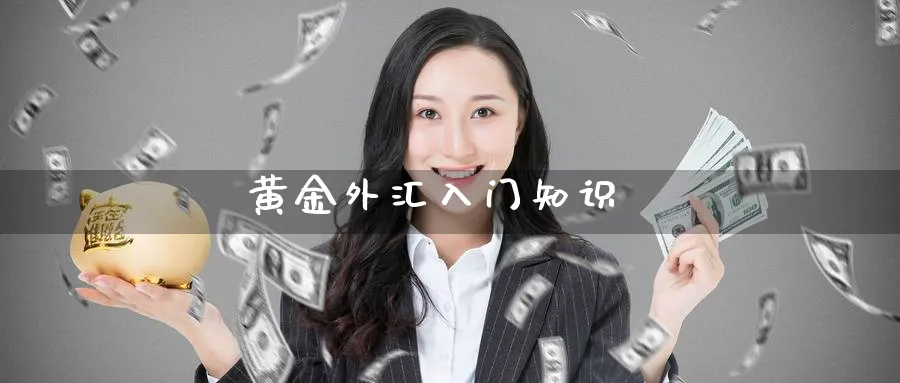 黄金外汇入门知识_德指直播室_第1张_51期货直播网 黄金外汇入门知识_https://www.51pinbao.com_德指直播室_第1张