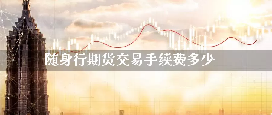随身行期货交易手续费多少_https://www.51pinbao.com_纳指直播室_第1张