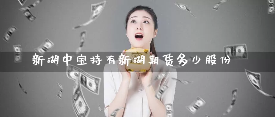 新湖中宝持有新湖期货多少股份_https://www.51pinbao.com_纳指直播室_第1张