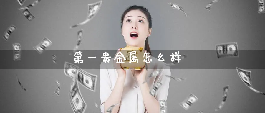 第一贵金属怎么样_期货直播室_第1张_51期货直播网 第一贵金属怎么样_https://www.51pinbao.com_期货直播室_第1张