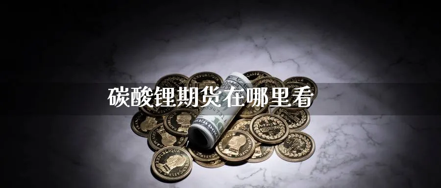 碳酸锂期货在哪里看_https://www.51pinbao.com_黄金直播室_第1张