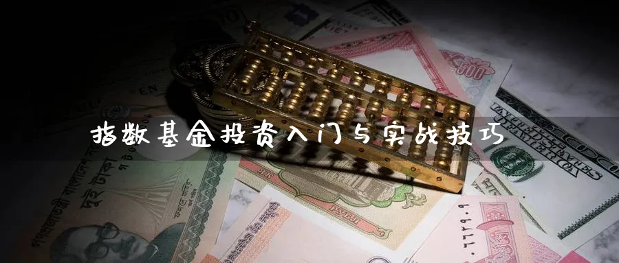 指数基金投资入门与实战技巧_https://www.51pinbao.com_恒指直播室_第1张