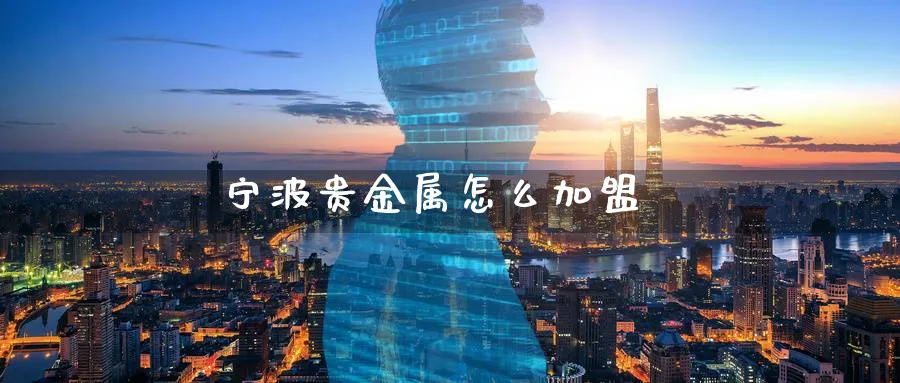 宁波贵金属怎么加盟_https://www.51pinbao.com_原油直播室_第1张