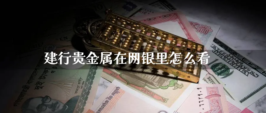 建行贵金属在网银里怎么看_https://www.51pinbao.com_期货直播室_第1张