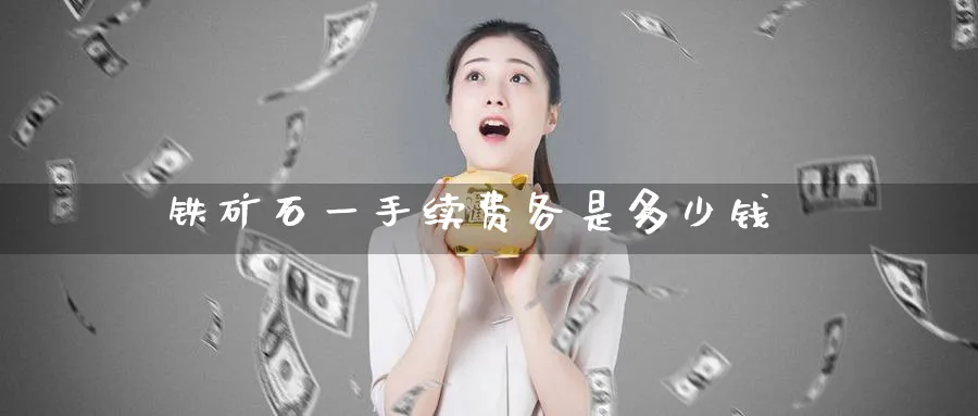 铁矿石一手续费各是多少钱_https://www.51pinbao.com_原油直播室_第1张