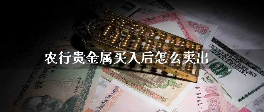 农行贵金属买入后怎么卖出_https://www.51pinbao.com_恒指直播室_第1张