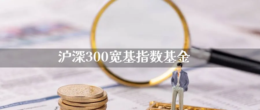 沪深300宽基指数基金_https://www.51pinbao.com_恒指直播室_第1张