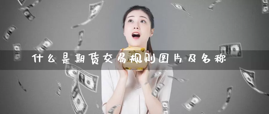 什么是期货交易规则图片及名称_https://www.51pinbao.com_期货直播室_第1张