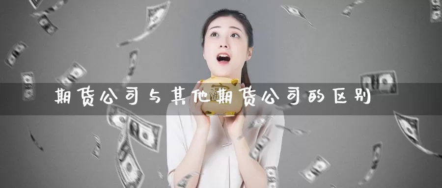 期货公司与其他期货公司的区别_恒指直播室_第1张_51期货直播网 期货公司与其他期货公司的区别_https://www.51pinbao.com_恒指直播室_第1张