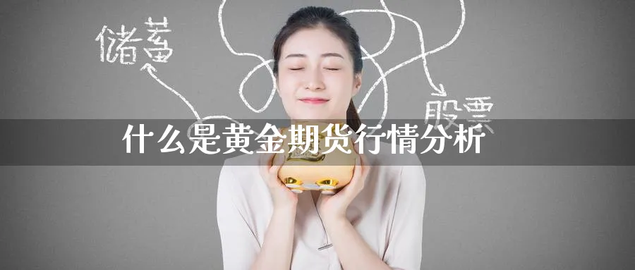 什么是黄金期货行情分析_期货直播室_第1张_51期货直播网 什么是黄金期货行情分析_https://www.51pinbao.com_期货直播室_第1张