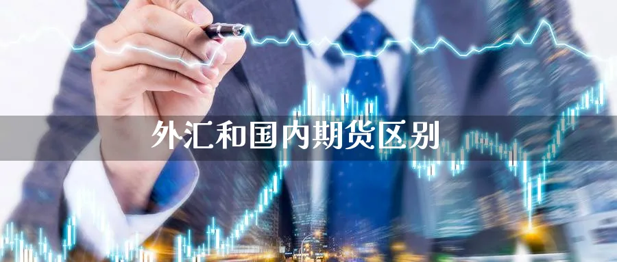外汇和国内期货区别_https://www.51pinbao.com_德指直播室_第1张
