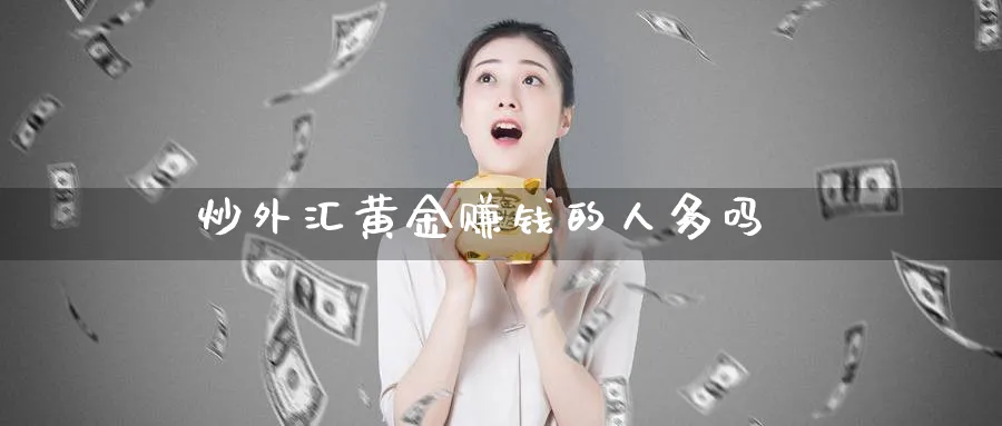 炒外汇黄金赚钱的人多吗_期货直播室_第1张_51期货直播网 炒外汇黄金赚钱的人多吗_https://www.51pinbao.com_期货直播室_第1张