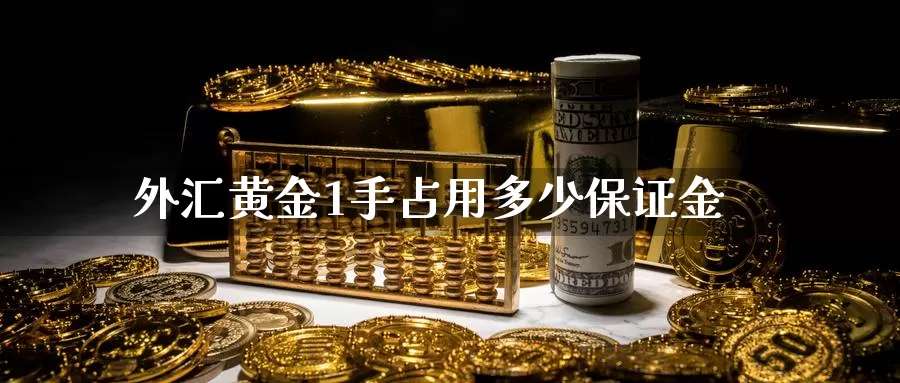 外汇黄金1手占用多少保证金_期货直播室_第1张_51期货直播网 外汇黄金1手占用多少保证金_https://www.51pinbao.com_期货直播室_第1张