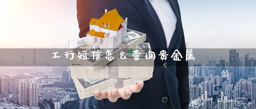 工行短信怎么查询贵金属_https://www.51pinbao.com_恒指直播室_第1张