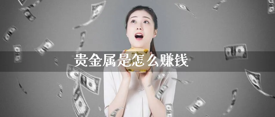 贵金属是怎么赚钱_https://www.51pinbao.com_纳指直播室_第1张