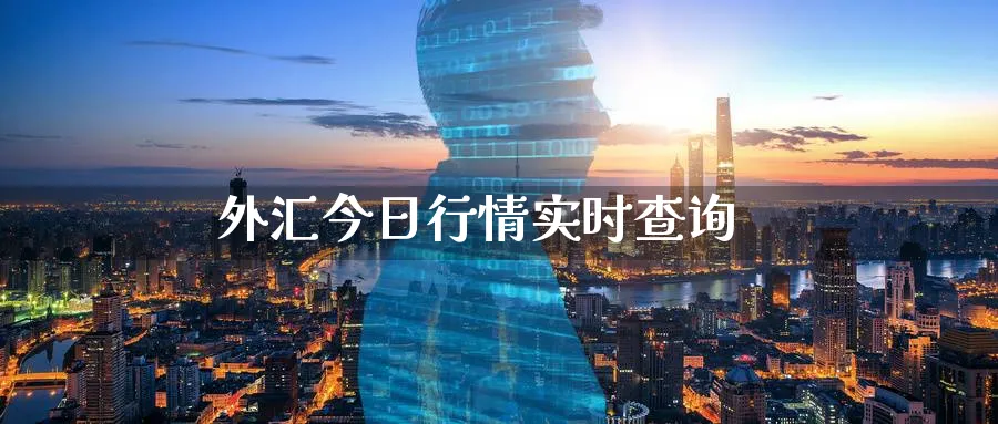 外汇今日行情实时查询_https://www.51pinbao.com_原油直播室_第1张
