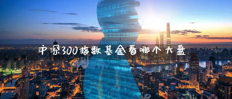 沪深300指数基金看哪个大盘_https://www.51pinbao.com_恒指直播室_第1张