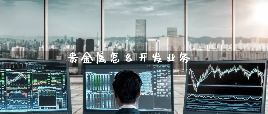贵金属怎么开发业务_https://www.51pinbao.com_恒指直播室_第1张