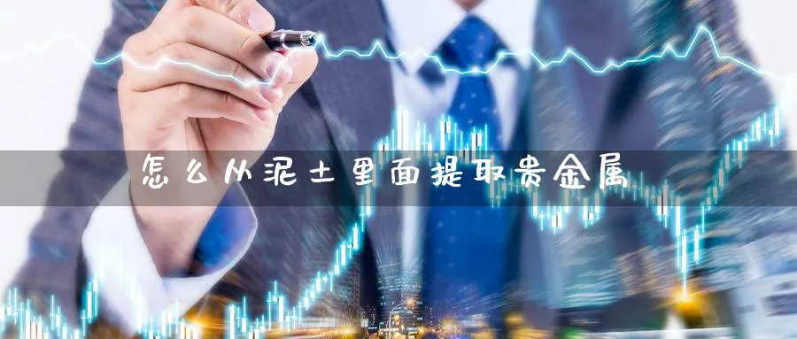 怎么从泥土里面提取贵金属_https://www.51pinbao.com_恒指直播室_第1张