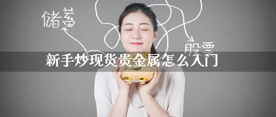 新手炒现货贵金属怎么入门_https://www.51pinbao.com_恒指直播室_第1张