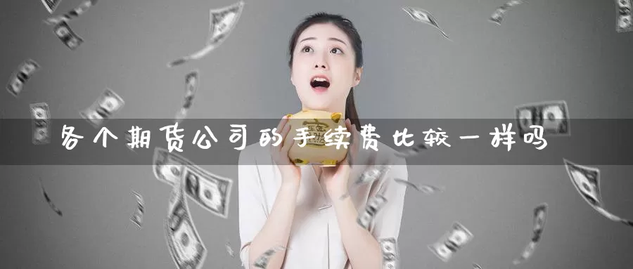 各个期货公司的手续费比较一样吗_德指直播室_第1张_51期货直播网 各个期货公司的手续费比较一样吗_https://www.51pinbao.com_德指直播室_第1张