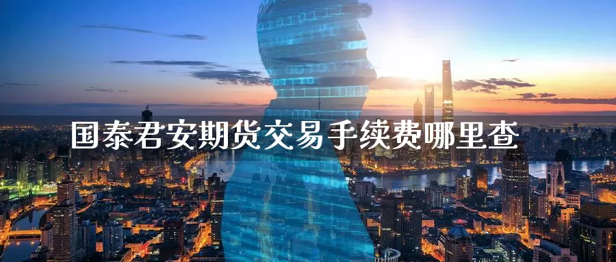 国泰君安期货交易手续费哪里查_https://www.51pinbao.com_德指直播室_第1张