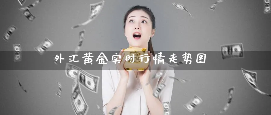 外汇黄金实时行情走势图_https://www.51pinbao.com_期货直播室_第1张