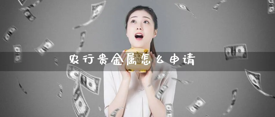 农行贵金属怎么申请_https://www.51pinbao.com_期货直播室_第1张