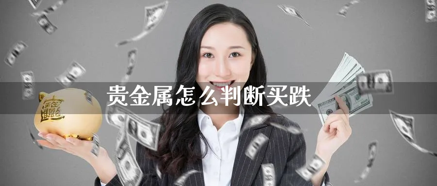 贵金属怎么判断买跌_期货直播室_第1张_51期货直播网 贵金属怎么判断买跌_https://www.51pinbao.com_期货直播室_第1张