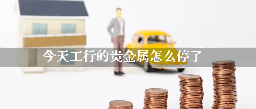 今天工行的贵金属怎么停了_https://www.51pinbao.com_恒指直播室_第1张