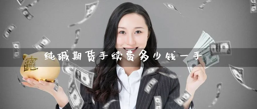 纯碱期货手续费多少钱一手_纳指直播室_第1张_51期货直播网 纯碱期货手续费多少钱一手_https://www.51pinbao.com_纳指直播室_第1张